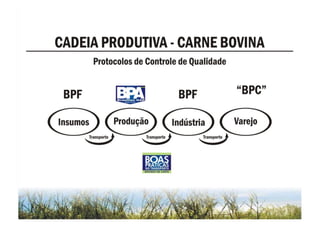 Beef Cattle Business in Brazil
 
