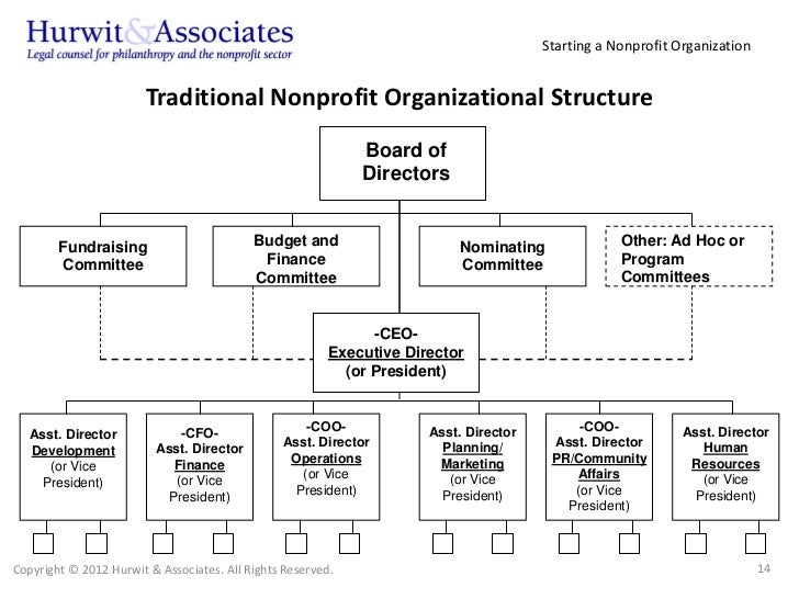 Organizational Chart For Nonprofit Organization