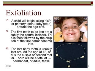 120829890saddaf-Dental-Anatomy-for-MBBS.ppt