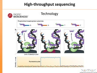 Updated: New High Throughput Sequencing technologies at the Norwegian ...