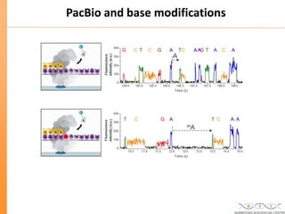 Updated: New High Throughput Sequencing technologies at the Norwegian ...