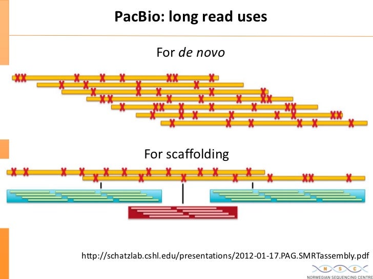 Long read перевод. Long read перевод. Чтение a letter u worksheep. Формат - long read. Long read перевод.