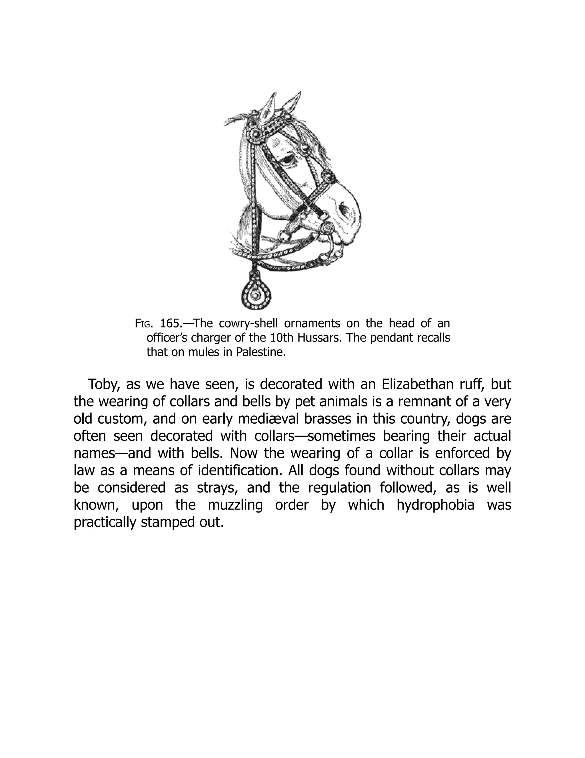 Fig. 165.—The cowry-shell ornaments on the head of an
officer’s charger of the 10th Hussars. The pendant recalls
that on mules in Palestine.
Toby, as we have seen, is decorated with an Elizabethan ruff, but
the wearing of collars and bells by pet animals is a remnant of a very
old custom, and on early mediæval brasses in this country, dogs are
often seen decorated with collars—sometimes bearing their actual
names—and with bells. Now the wearing of a collar is enforced by
law as a means of identification. All dogs found without collars may
be considered as strays, and the regulation followed, as is well
known, upon the muzzling order by which hydrophobia was
practically stamped out.
 