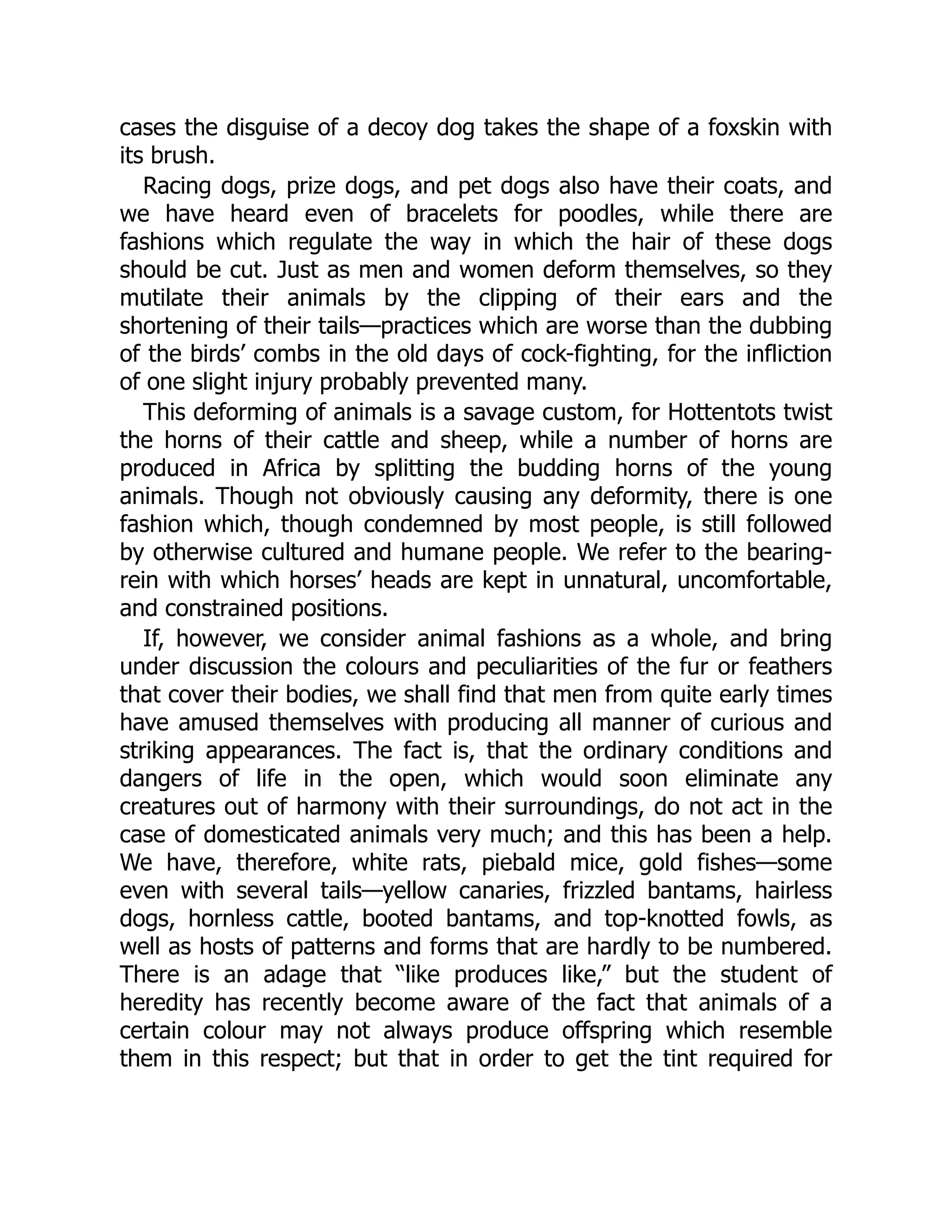 cases the disguise of a decoy dog takes the shape of a foxskin with
its brush.
Racing dogs, prize dogs, and pet dogs also have their coats, and
we have heard even of bracelets for poodles, while there are
fashions which regulate the way in which the hair of these dogs
should be cut. Just as men and women deform themselves, so they
mutilate their animals by the clipping of their ears and the
shortening of their tails—practices which are worse than the dubbing
of the birds’ combs in the old days of cock-fighting, for the infliction
of one slight injury probably prevented many.
This deforming of animals is a savage custom, for Hottentots twist
the horns of their cattle and sheep, while a number of horns are
produced in Africa by splitting the budding horns of the young
animals. Though not obviously causing any deformity, there is one
fashion which, though condemned by most people, is still followed
by otherwise cultured and humane people. We refer to the bearing-
rein with which horses’ heads are kept in unnatural, uncomfortable,
and constrained positions.
If, however, we consider animal fashions as a whole, and bring
under discussion the colours and peculiarities of the fur or feathers
that cover their bodies, we shall find that men from quite early times
have amused themselves with producing all manner of curious and
striking appearances. The fact is, that the ordinary conditions and
dangers of life in the open, which would soon eliminate any
creatures out of harmony with their surroundings, do not act in the
case of domesticated animals very much; and this has been a help.
We have, therefore, white rats, piebald mice, gold fishes—some
even with several tails—yellow canaries, frizzled bantams, hairless
dogs, hornless cattle, booted bantams, and top-knotted fowls, as
well as hosts of patterns and forms that are hardly to be numbered.
There is an adage that “like produces like,” but the student of
heredity has recently become aware of the fact that animals of a
certain colour may not always produce offspring which resemble
them in this respect; but that in order to get the tint required for
 