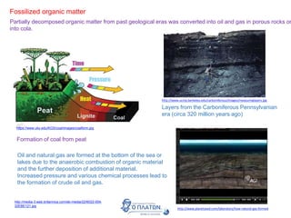 Fossilized organic matter
Partially decomposed organic matter from past geological eras was converted into oil and gas in porous rocks or
into cola.
http://media-3.web.britannica.com/eb-media/22/6022-004-
32EBE121.jpg
https://www.uky.edu/KGS/coal/images/coalform.jpg
Formation of coal from peat
Layers from the Carboniferous Pennsylvanian
era (circa 320 million years ago)
http://www.ucmp.berkeley.edu/carboniferous/images/measuringlayers.jpg
Oil and natural gas are formed at the bottom of the sea or
lakes due to the anaerobic combustion of organic material
and the further deposition of additional material.
Increased pressure and various chemical processes lead to
the formation of crude oil and gas.
http://www.planetseed.com/laboratory/how-natural-gas-formed
 