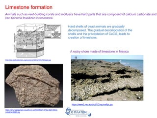 Limestone formation
Animals such as reef-building corals and molluscs have hard parts that are composed of calcium carbonate and
can become fossilized in limestone
http://jgs.lyellcollection.org/content/165/1/395/F2.large.jpg
Hard shells of dead animals are gradually
decomposed. The gradual decompostion of the
shells and the precipitation of CaCO3 leads to
creation of limestone.
https://d1u1p2xjjiahg3.cloudfront.net/5440f0a7-273a-4823-9344-
c48d83e3f685.jpg
https://www2.nau.edu/rcb7/CoquinaRpt.jpg
A rocky shore made of limestone in Mexico
 