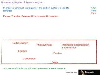 Construct a diagram of the carbon cycle.
In order to construct a diagram of the carbon cycles we need to
consider
Fluxes: Transfer of element from one pool to another
Key:
Sink
Flux
n.b. some of the fluxes will need to be used more than once.
Cell respiration
Photosynthesis
Combustion
Feeding
Egestion
Death
Incomplete decomposition
& fossilisation
Original slide from
 