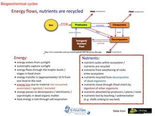 Biogeochemical cycles
Slide from
 