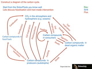Construct a diagram of the carbon cycle.
Start from the Sinks/Pools you know well
Lets discuss fossilisation and man-made intervention
Key:
Sink
Flux
CO2 in the atmosphere and
hydrosphere (e.g. oceans)
Carbon compounds in
producers (autotrophs)
Carbon compounds
in consumers
Carbon compounds in
dead organic matter
Carbon compounds in
fossil fuels
Original slide from
 