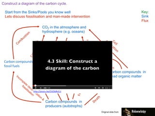 Construct a diagram of the carbon cycle.
Start from the Sinks/Pools you know well
Lets discuss fossilisation and man-made intervention
Key:
Sink
Flux
CO2 in the atmosphere and
hydrosphere (e.g. oceans)
Carbon compounds in
producers (autotrophs)
Carbon compounds
in consumers
Carbon compounds in
dead organic matter
Carbon compounds in
fossil fuels
Original slide from
http://youtu.be/CitOibRcCcI
 