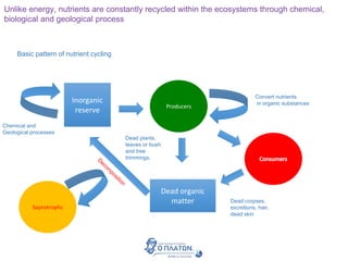 Unlike energy, nutrients are constantly recycled within the ecosystems through chemical,
biological and geological process
Inorganic
reserve
Producers
Basic pattern of nutrient cycling
Convert nutrients
in organic substances
Chemical and
Geological processes
Dead organic
matter Dead corpses,
excretions, hair,
dead skin
Dead plants,
leaves or bush
and tree
trimmings,
Saprotrophs
 