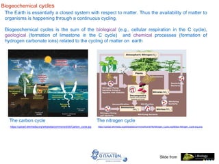 Biogeochemical cycles
Slide from
The Earth is essentially a closed system with respect to matter. Thus the availability of matter to
organisms is happening through a continuous cycling.
Biogeochemical cycles is the sum of the biological (e.g., cellular respiration in the C cycle),
geological (formation of limestone in the C cycle) and chemical processes (formation of
hydrogen carbonate ions) related to the cycling of matter on earth
The carbon cycle
https://upload.wikimedia.org/wikipedia/commons/d/d5/Carbon_cycle.jpg
The nitrogen cycle
https://upload.wikimedia.org/wikipedia/commons/thumb/f/fe/Nitrogen_Cycle.svg/800px-Nitrogen_Cycle.svg.png
 