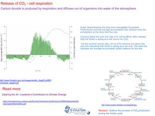 Release of CO2 - cell respiration
Carbon dioxide is produced by respiration and diffuses out of organisms into water of the atmosphere
Revision: Outline the process of CO2 production
during the Krebs cycle
http://www.sivabio.50webs.com/plas036.jpg
Clearing the Air: Livestock’s Contribution to Climate Change
Read more
http://animalscience.ucdavis.edu/faculty/mitloehner/publications/2009%20pitesky%20
Clearing%20the%20Air.pdf
http://www.forestry.gov.uk/images/straits_diag02.gif/$FI
LE/straits_diag02.gif
Graph demonstrating the long term averageNet Ecosystem
Productivity) and the average accumulated CO2 removal from the
atmosphere at the Alice Holt flux site.
Columns below the zero line (day 0 to 140 & 280 to 365) indicate
that the forest is acting as a net source for CO2.
For the summer period (day 141 to 279) columns are above the
zero line indicating that forest is acting as a net sink. The solid line
indicates the average accumulated carbon balance for the site.
 