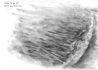 120917 Kasai Rinkai Park Wave Sketch