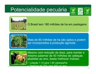 Potencialidade pecuária

      O Brasil tem 180 milhões de ha em pastagens




      Mais de 60 milhões de ha são aptos e podem
      ser incorporados à produção agrícola.


      Mesmo com redução da área, para manter o
      mesmo patamar de 40 milhões de cabeças
      abatidas ao ano, basta melhorar índices:
      •  Lotação 1,14 para 1,50 cabeças/ha
      •  Desfrute de 22% para 30% ao ano
                                                    13
 
