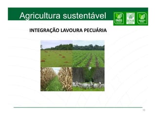 Agricultura sustentável
  INTEGRAÇÃO	
  LAVOURA	
  PECUÁRIA	
  	
  




                                              15
 