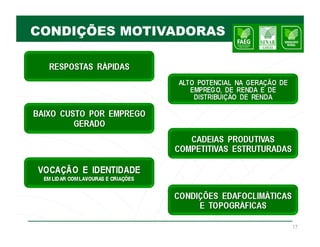 CONDIÇÕES MOTIVADORAS




                        17
 