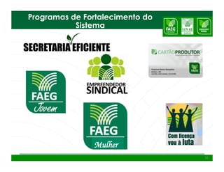 Programas de Fortalecimento do
           Sistema




               Mulher
                                 30
 