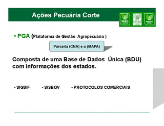 Ações Pecuária Corte



      Parceria (CNA) e o (MAPA)
 