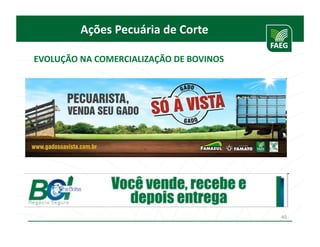 Ações	
  Pecuária	
  de	
  Corte

EVOLUÇÃO	
  NA	
  COMERCIALIZAÇÃO	
  DE	
  BOVINOS	
  




                                                         40
 