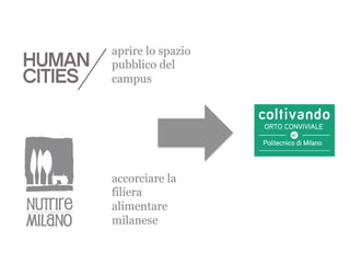 aprire lo spazio
pubblico del
campus


                   ORTO CONVIVIALE

                   Politecnico di Milano




accorciare la
filiera
alimentare
milanese
 