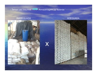 - Tempo uso insumos   Armazenagem na fazenda


     INADEQUADA                                ADEQUADA




                           x
 