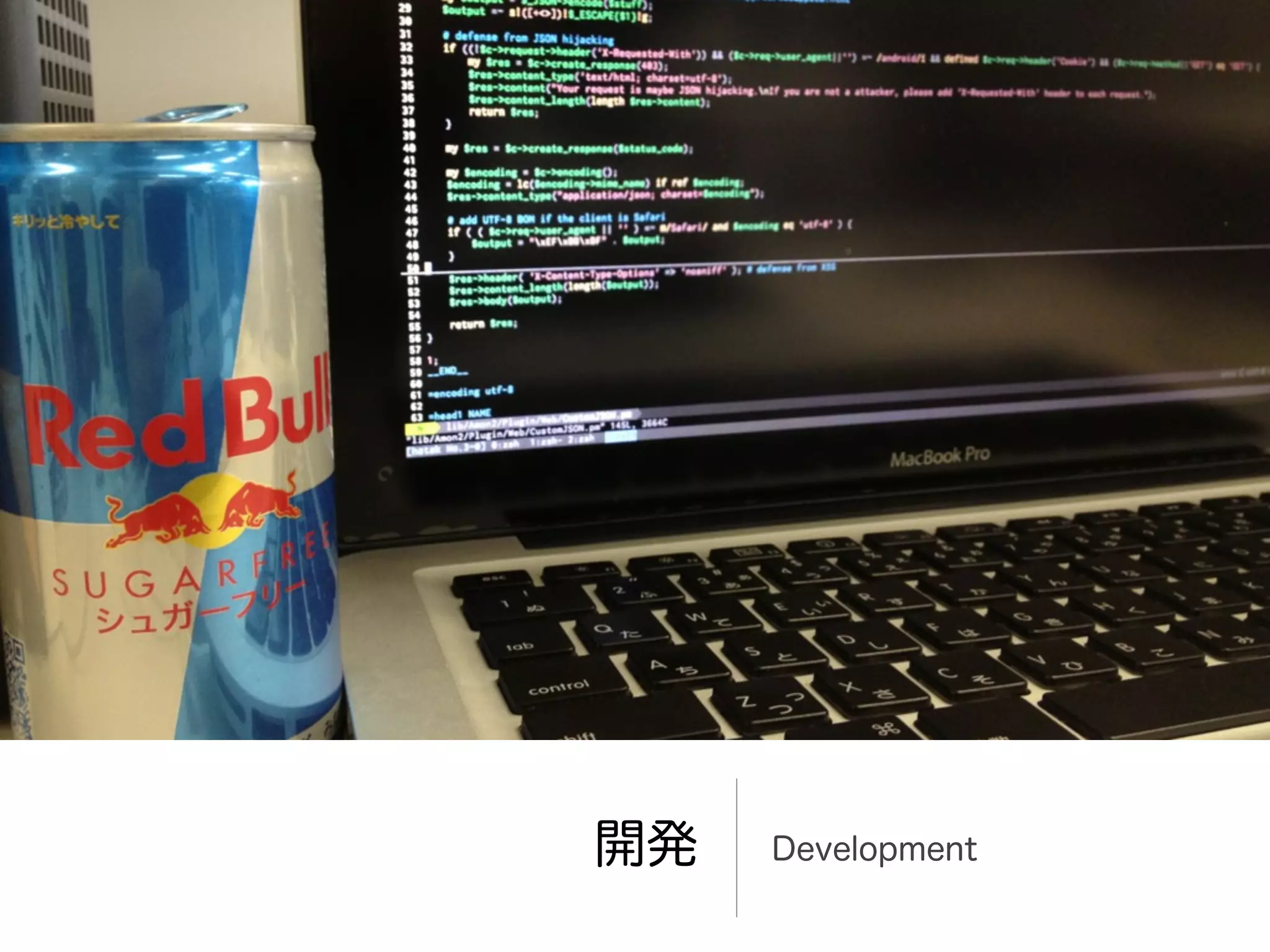 開発   Development
 