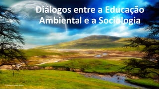 Diálogos entre a Educação
Ambiental e a Sociologia
Professora Juliana Abreu
 
