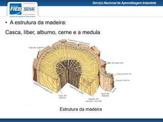 • A estrutura da madeira:
Casca, líber, alburno, cerne e a medula
Estrutura da madeira
 