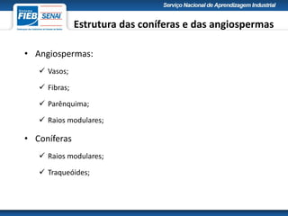 Estrutura das coníferas e das angiospermas
• Angiospermas:
 Vasos;
 Fibras;
 Parênquima;
 Raios modulares;
• Coníferas
 Raios modulares;
 Traqueóides;
 