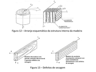 Figura 12 – Arranjo esquemático da estrutura interna da madeira
Figura 13 – Defeitos de secagem
 