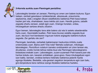 3-Horrela aurkitu zuen Flemingek penizilina:  Laborategiko lanetan ari zenean, Fleming ez omen zen batere txukuna. Egun batean, zenbait gaixotasun (erlakaiztenak, abszesuak, pneumonia, septizemia, etab.) eragiten dituen estafilokoko bakterioa Petri kaxa batean hazten jarri eta, oharkabean, kaxa irekita utzi zuen. Handik gutxira, zabalik zegoela ohartu zenean, estali egin zuen. Oraingo honetan, ordea, inkubagailuan sartzea ahaztu zitzaion.  Egun berean, laborategiko lana alde batera utzi eta bi asteko atsedenaldia hartu zuen. Oporretatik bueltan, Petri kaxa lizunez estalita zegoela ikusi zuen, eta lizun hori-berdearen inguruan kolore argiagoko bakterio-kultura zegoela.  Zer gertatu ote zen? Flemingek, berehala, zerbaitek bakterioaren hazkuntza inhibitu zuela ondorioztatu zuen.  Baina zerk? Eta nola? Beheko solairuan, mikologia-laborategian,  Penicillium   notatum  izeneko onddoarekin ari ziren lanean eta, dirudienez, onddo horrek leihoa irekita ikusi eta Flemingen laborategiraino bidaiatzea erabaki zuen. Laborategian, zuzen-zuzenean Petri kaxara joan eta hantxe kokatu zen, kaxaren erdialdean, goxo-goxo. Kaxa inkubagailuan egon izan balitz, berotan, onddoa bertara iristerako bakterioa jadanik hazita egongo litzateke. Bestalde, uda-garaiari zegokion tenperatura egin izan balu, giro-tenperatura bera nahikoa izango litzateke   bakterioa hazteko. 