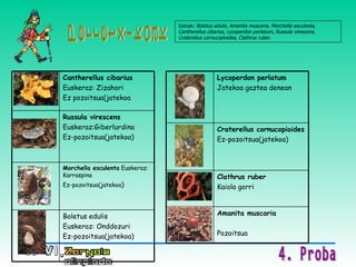 Perretxikoak Izenak:  Boletus edulis ,  Amanita muscaria ,  Morchella esculenta ,  Cantherellus cibarius ,  Lycoperdon perlatum ,  Russula virescens ,  Craterellus cornucopioides ,  Clathrus ruber . Boletus edulis Euskeraz: Onddozuri  Ez-pozoitsua(jatekoa) Morchella esculenta  Euskeraz: Karraspina Ez-pozoitsua(jatekoa ) Russula virescens Euskeraz:Giberlurdina Ez-pozoitsua(jatekoa) Cantherellus cibarius   Euskeraz: Zizahori Ez pozoitsua(jatekoa Amanita muscaria Pozoitsua Clathrus ruber Kaiola gorri Craterellus cornucopioides Ez-pozoitsua(jatekoa) Lycoperdon perlatum   Jatekoa gaztea denean 