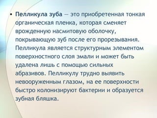 Пелликула зуба  — это приобретенная тонкая органическая пленка, которая сменяет врожденную насмитовую оболочку, покрывающую зуб после его прорезывания. Пелликула является структурным элементом поверхностного слоя эмали и может быть удалена лишь с помощью сильных абразивов. Пелликулу трудно выявить невооруженным глазом, на ее поверхности быстро колонизируют бактерии и образуется зубная бляшка. 
