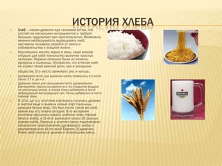 5 причин, почему все говорят, что хлеб всему голова
