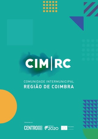 Boletim da Parentalidade 