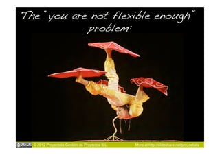 The “you are not flexible enough”
            problem:!




  © 2012 Proyectalis Gestión de Proyectos S.L.   More at http://slideshare.net/proyectalis
 