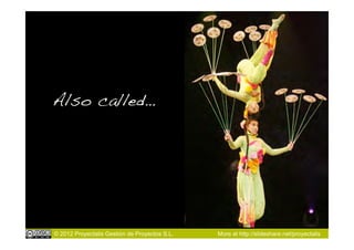 Also called…!




© 2012 Proyectalis Gestión de Proyectos S.L.   More at http://slideshare.net/proyectalis
 