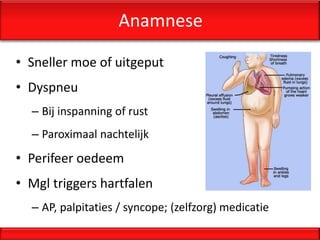 Anamnese

• Sneller moe of uitgeput
• Dyspneu
  – Bij inspanning of rust
  – Paroximaal nachtelijk
• Perifeer oedeem
• Mgl triggers hartfalen
  – AP, palpitaties / syncope; (zelfzorg) medicatie
 