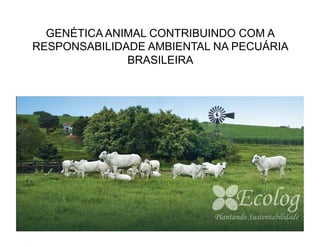 GENÉTICA ANIMAL CONTRIBUINDO COM A
RESPONSABILIDADE AMBIENTAL NA PECUÁRIA
              BRASILEIRA
 