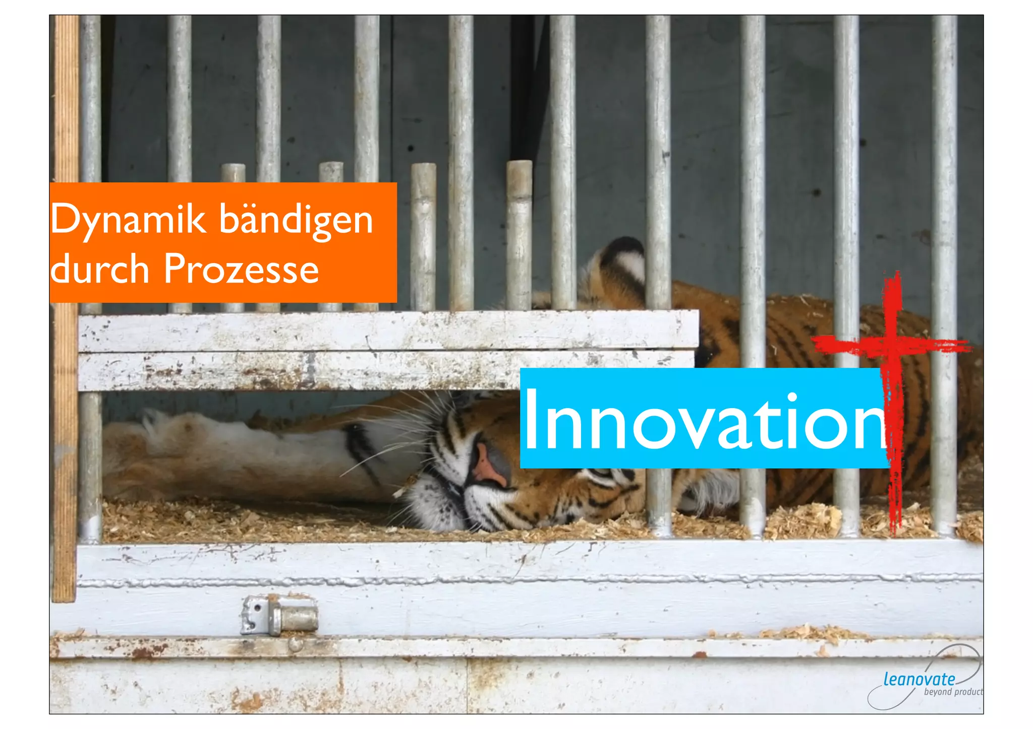 Dynamik bändigen
durch Prozesse


                   Innovation
 