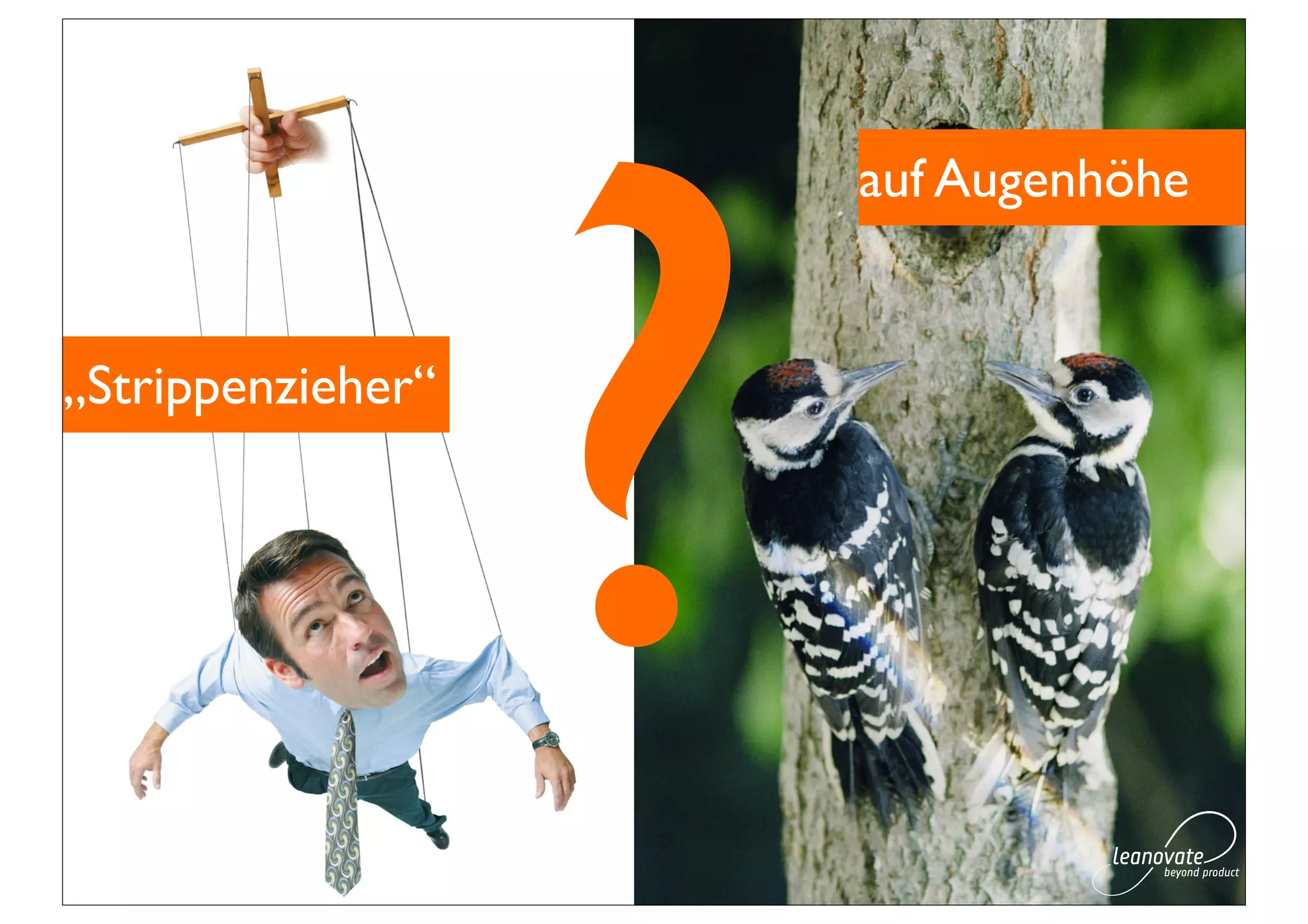 ?
                       auf Augenhöhe


„Strippenzieher“
 