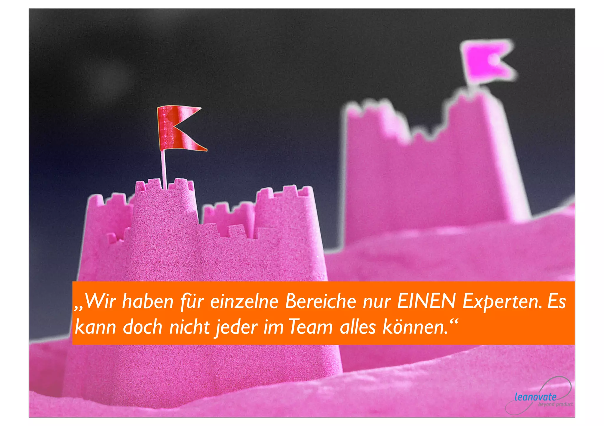 „Wir haben für einzelne Bereiche nur EINEN Experten. Es
kann doch nicht jeder im Team alles können.“
 
