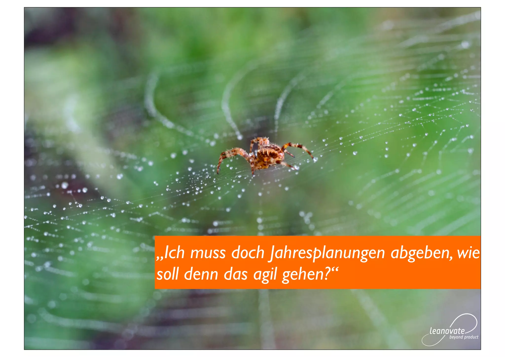 „Ich muss doch Jahresplanungen abgeben, wie
soll denn das agil gehen?“
 