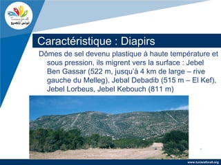 Caractéristique : Diapirs
Dômes de sel devenu plastique à haute température et
  sous pression, ils migrent vers la surface : Jebel
  Ben Gassar (522 m, jusqu’à 4 km de large – rive
  gauche du Melleg), Jebal Debadib (515 m – El Kef),
  Jebel Lorbeus, Jebel Kebouch (811 m)




                                           www.tunisiaforall.org
 