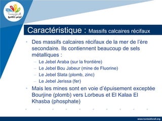 Caractéristique : Massifs calcaires récifaux
• Des massifs calcaires récifaux de la mer de l’ère
  secondaire. Ils contiennent beaucoup de sels
  métalliques :
   –   Le Jebel Araba (sur la frontière)
   –   Le Jebel Bou Jabeur (mine de Fluorine)
   –   Le Jebel Slata (plomb, zinc)
   –   Le Jebel Jerissa (fer)
• Mais les mines sont en voie d’épuisement exceptée
  Bourjine (plomb) vers Lorbeus et El Kalaa El
  Khasba (phosphate)


                                                www.tunisiaforall.org
 