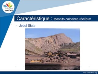 Caractéristique : Massifs calcaires récifaux
• Jebel Slata




                                       www.tunisiaforall.org
 