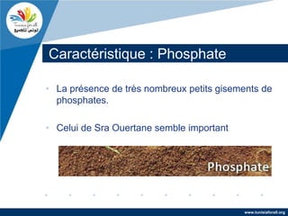 Caractéristique : Phosphate

• La présence de très nombreux petits gisements de
  phosphates.

• Celui de Sra Ouertane semble important




                                           www.tunisiaforall.org
 