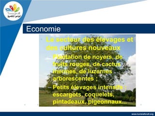 Economie
   • Le secteur des élevages et
     des cultures nouveaux
     – Plantation de noyers, de
       fruits rouges, de cactus
       inermes, de luzernes
       arborescentes ;
     – Petits élevages intensifs :
       escargots, coquelets,
       pintadeaux, pigeonnaux...
                                     www.tunisiaforall.org
 
