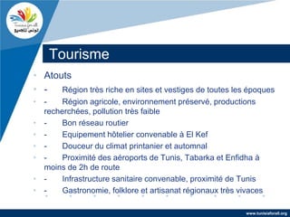 Tourisme
• Atouts
• -   Région très riche en sites et vestiges de toutes les époques
• -    Région agricole, environnement préservé, productions
  recherchées, pollution très faible
• -    Bon réseau routier
• -    Equipement hôtelier convenable à El Kef
• -    Douceur du climat printanier et automnal
• -    Proximité des aéroports de Tunis, Tabarka et Enfidha à
  moins de 2h de route
• -    Infrastructure sanitaire convenable, proximité de Tunis
• -    Gastronomie, folklore et artisanat régionaux très vivaces

                                                           www.tunisiaforall.org
 